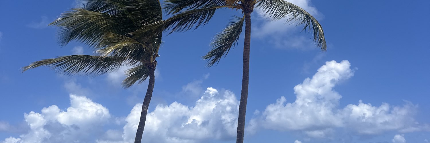 vidadefebrero's profile banner image