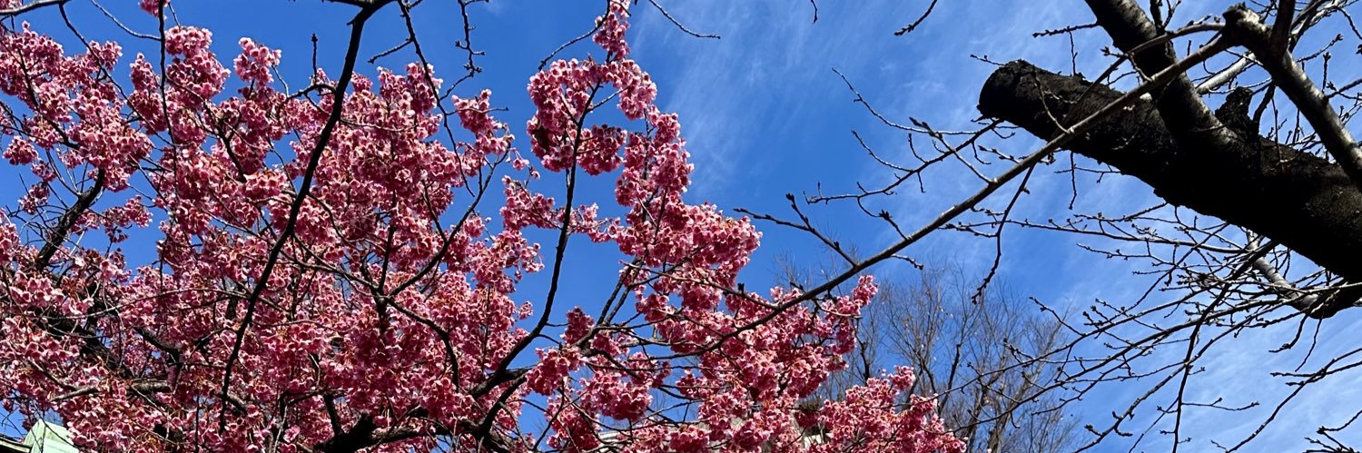 winata ウィナタ banner