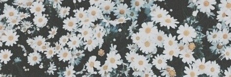 Marita Nylende banner