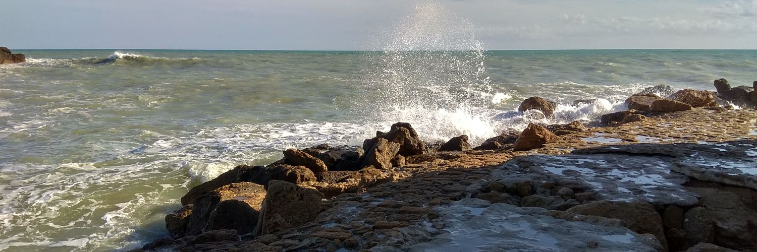 IlariaLento's profile banner image