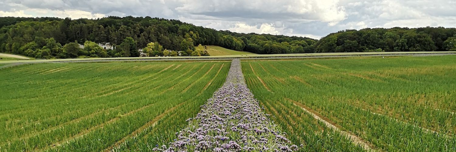 _Pivand154's profile banner image