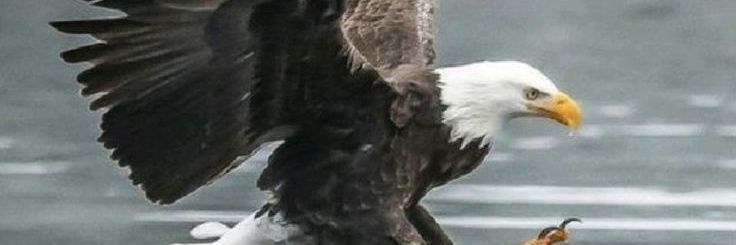 2000_hatice's profile banner image