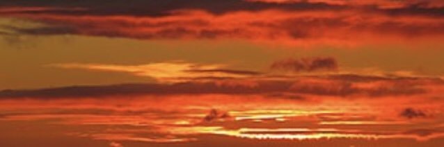 NumberCruncher banner