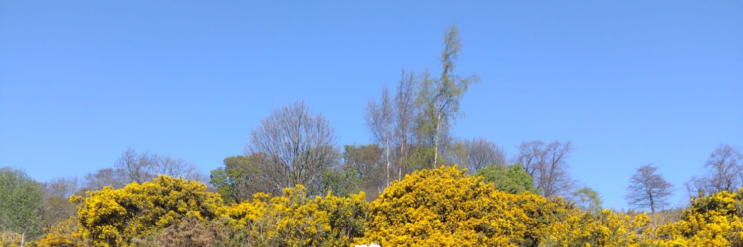 Dr Barbara Farquharson banner