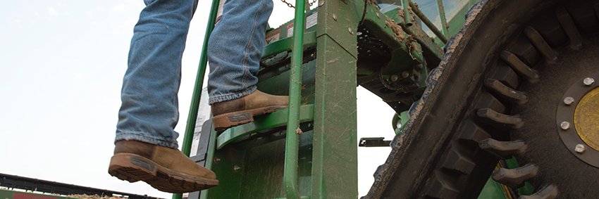 Irish Setter Boots banner