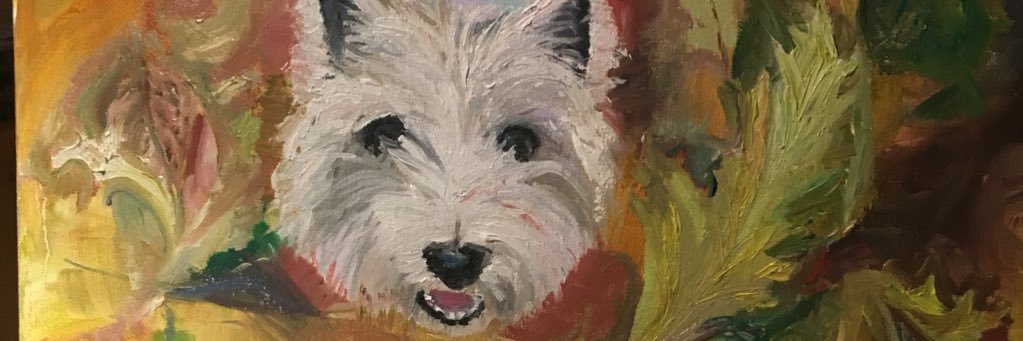 audreycquinn's profile banner image
