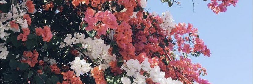 oliviaaac3's profile banner image