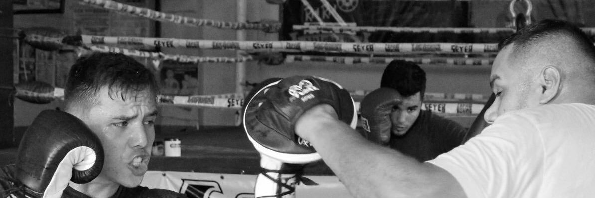 ZapariBoxing's profile banner image