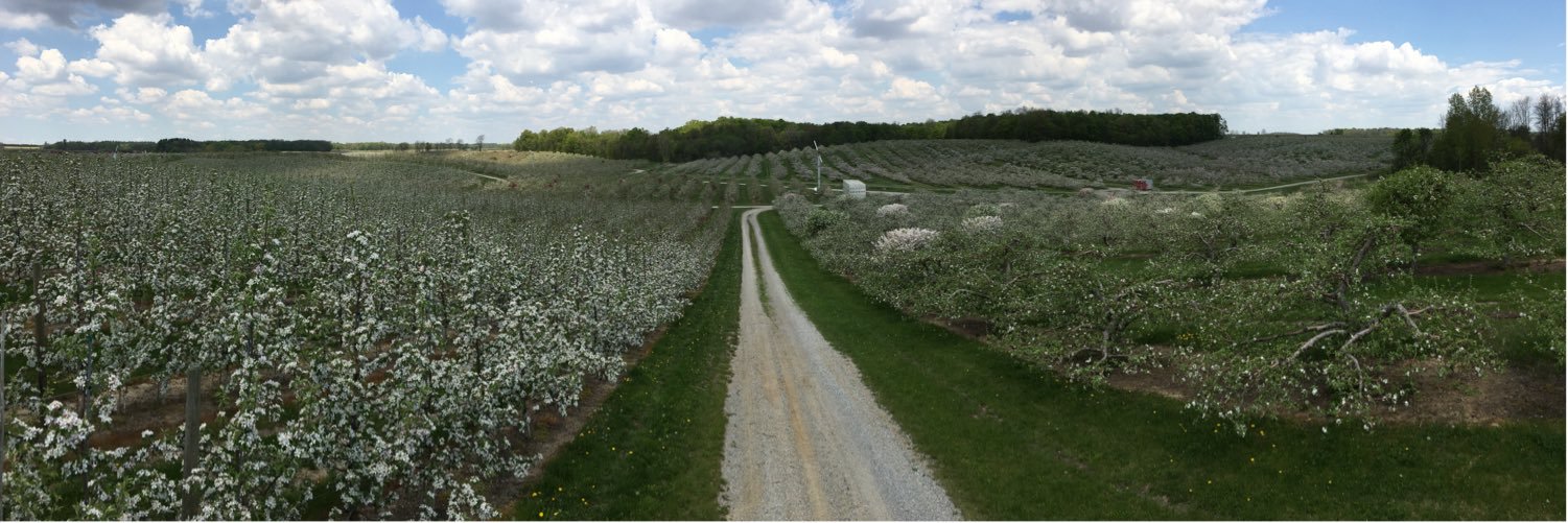 Hayden Dooney banner