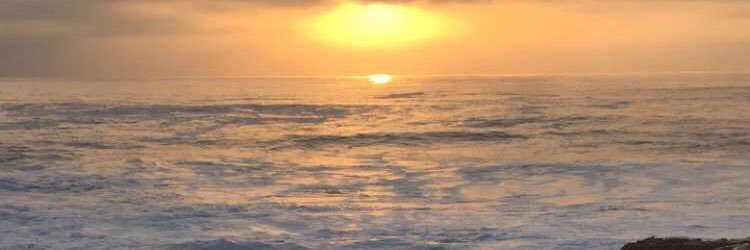 JennAndryshak's profile banner image