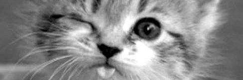 𝙋𝙞𝙤𝙩𝙧 𝙃𝙖𝙘𝙯𝙚𝙠 💙💛 banner