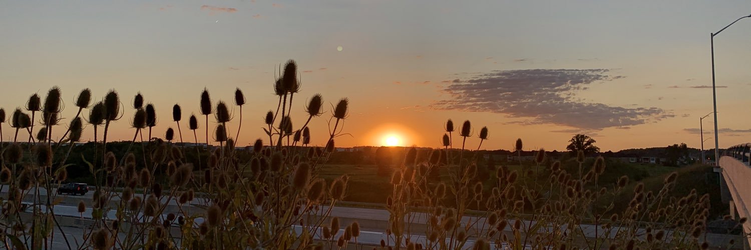 itsannkelly's profile banner image