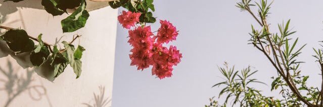 ManalAlshehr1's profile banner image