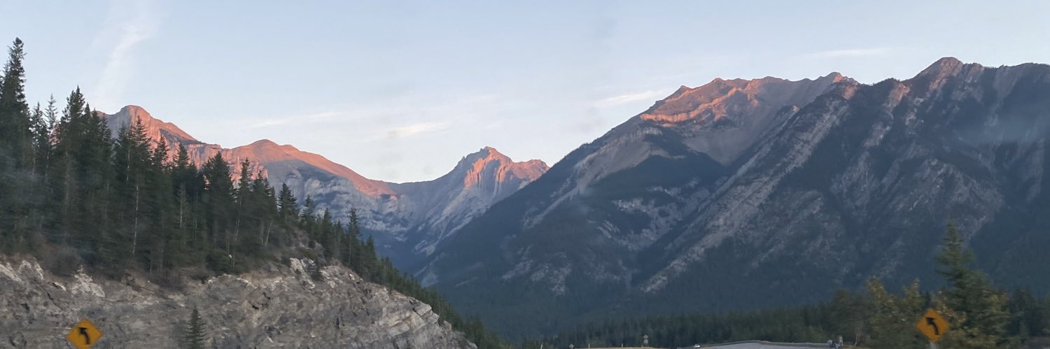raeannepilsner's profile banner image