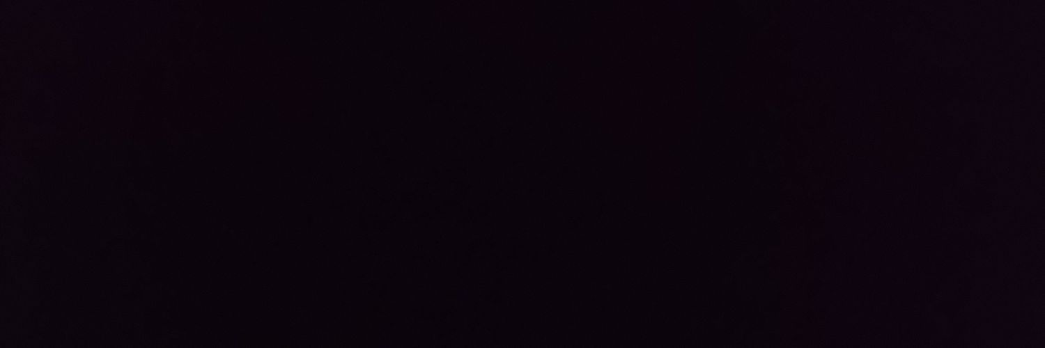 zilizzle's profile banner image