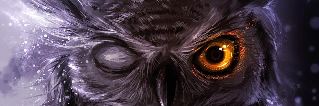 CalamityJ72's profile banner image