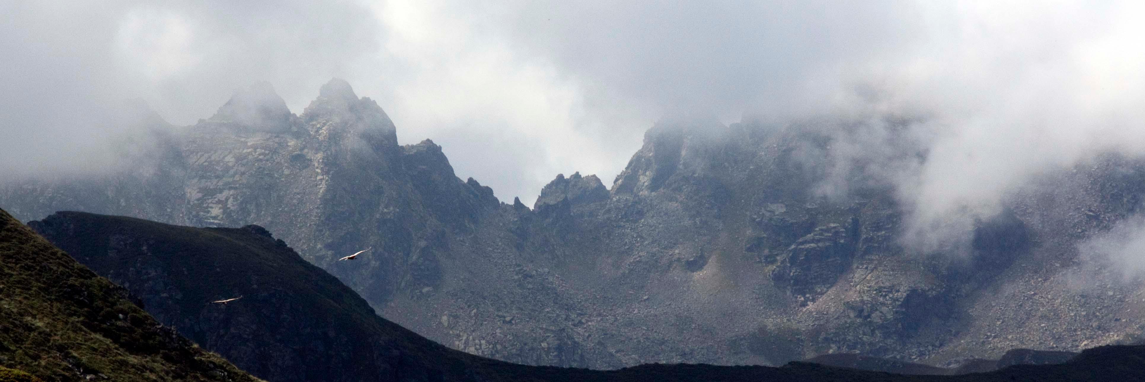 jcpuigventos's profile banner image