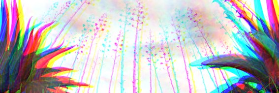 3dpastorcontodo's profile banner image