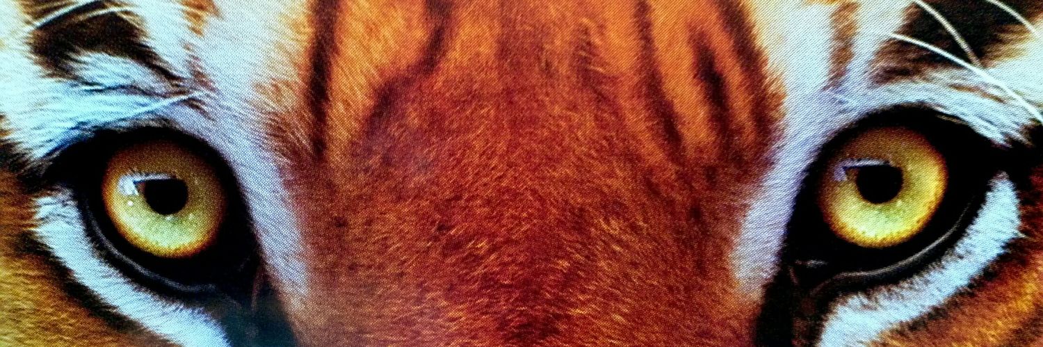 nige1968's profile banner image