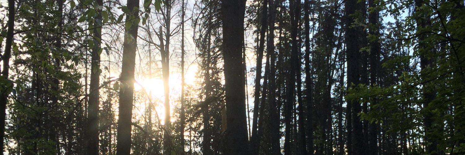 PastorMatthieu's profile banner image