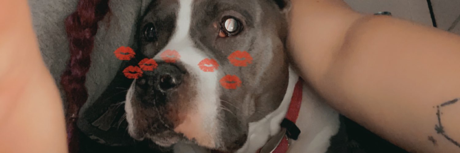 sierraanicks's profile banner image