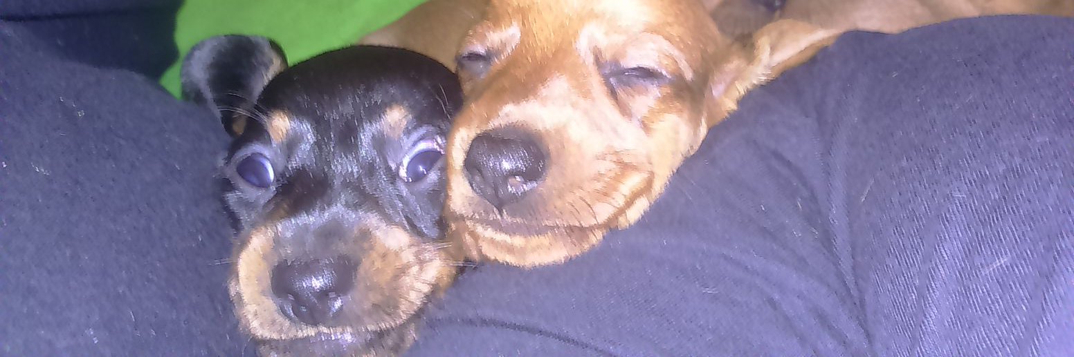 Markus Ilvonen, OH3RM banner