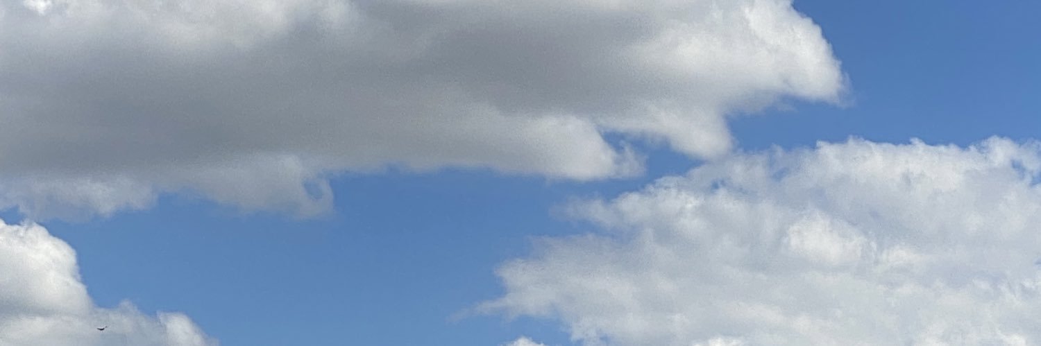 EveHNC's profile banner image