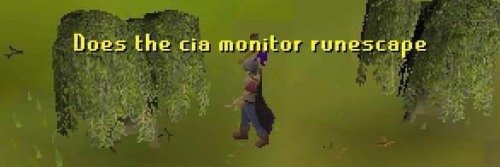 Quintin Woods banner