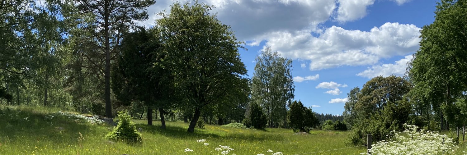 Tobias Engström banner