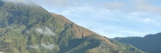 Edilia Mac Gregor banner