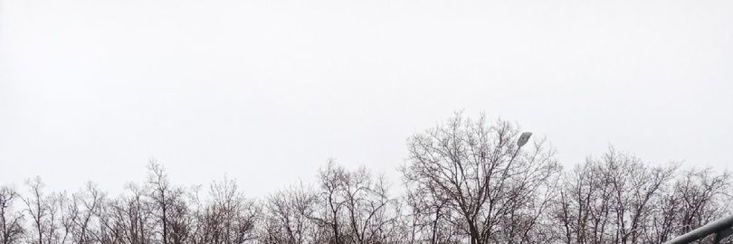 iSechina's profile banner image