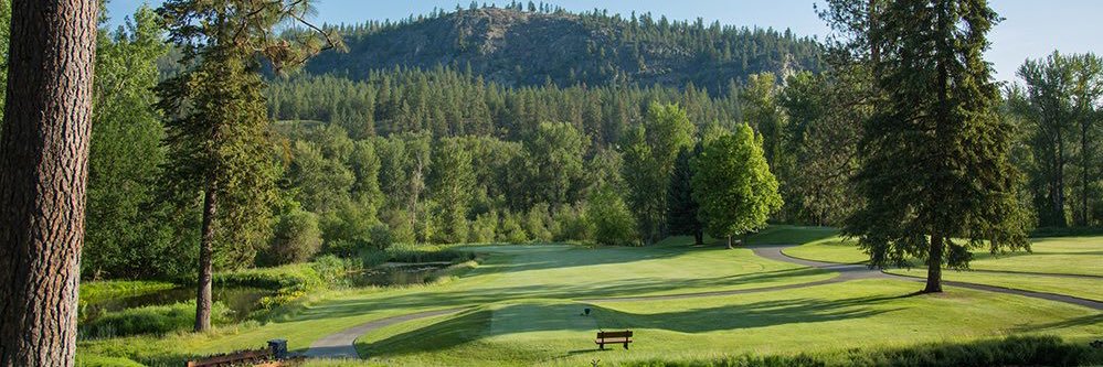 Brigid Rypien banner