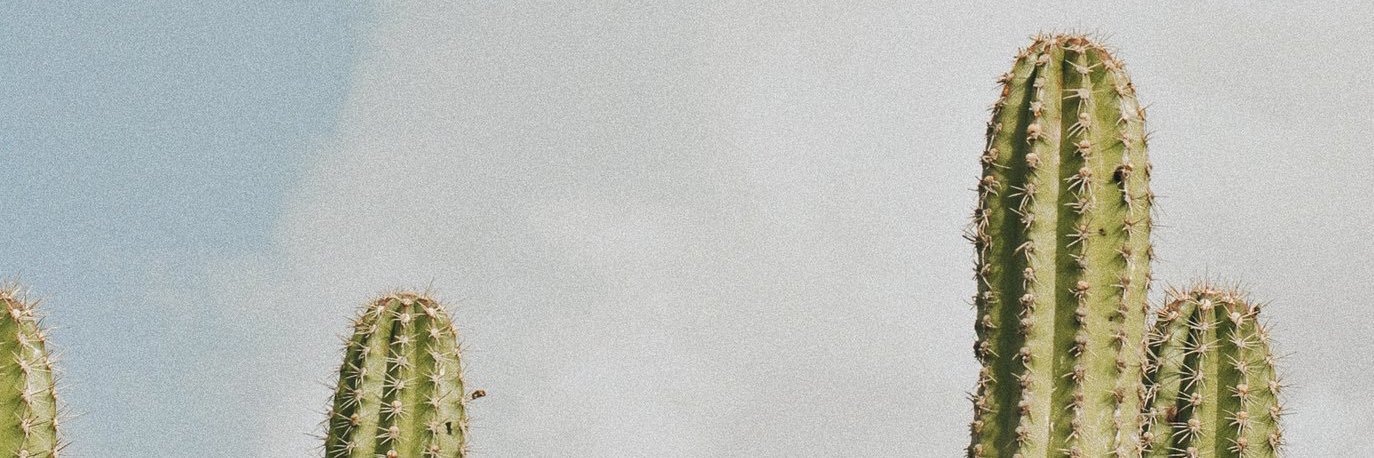 Itsrichsamson's profile banner image