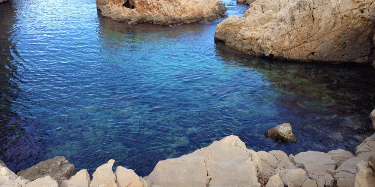 Salvador Escribà Reñ banner