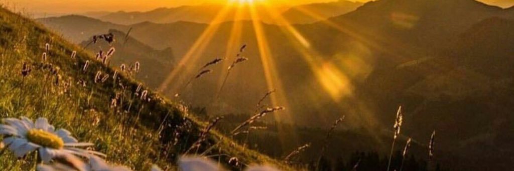 ssgooor's profile banner image