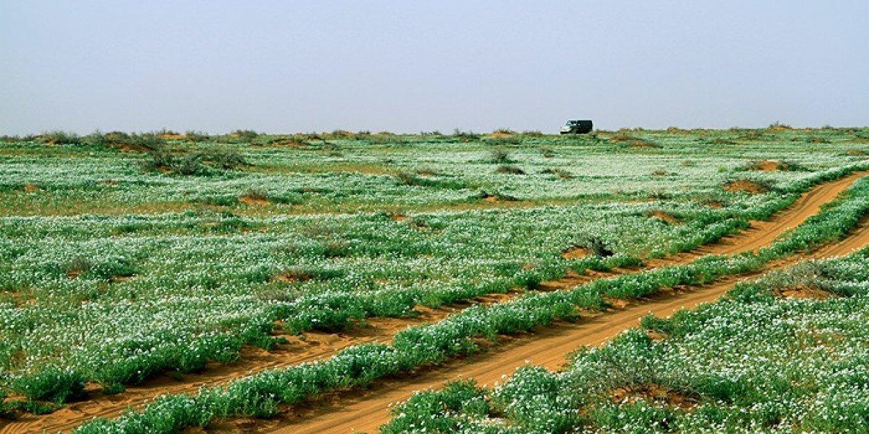 AlfredTurki's profile banner image