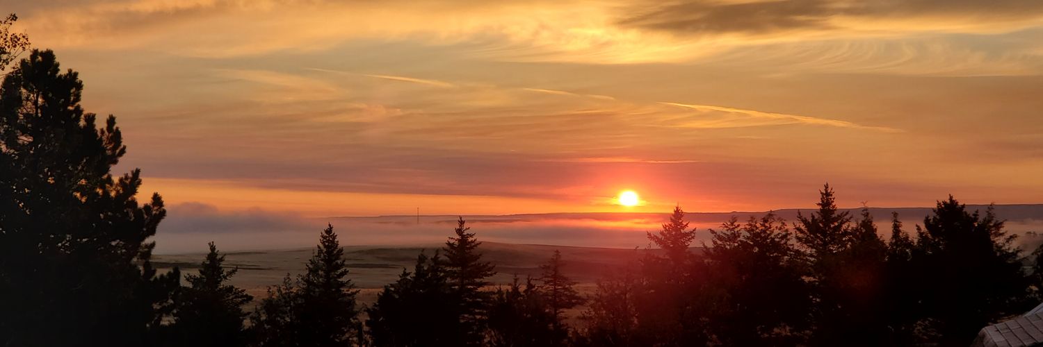 TracyTrazeey's profile banner image