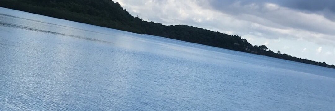 chlobull's profile banner image