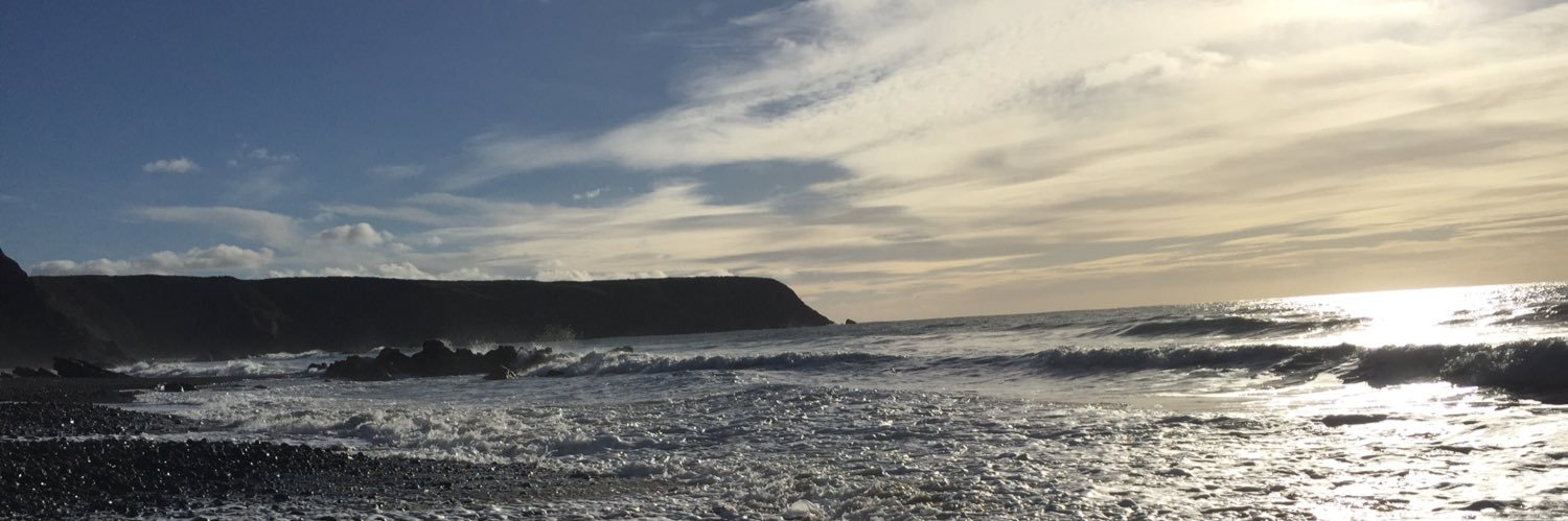 Sarah Percival Long banner