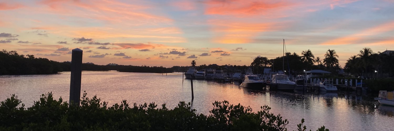 Shyanika Rose banner