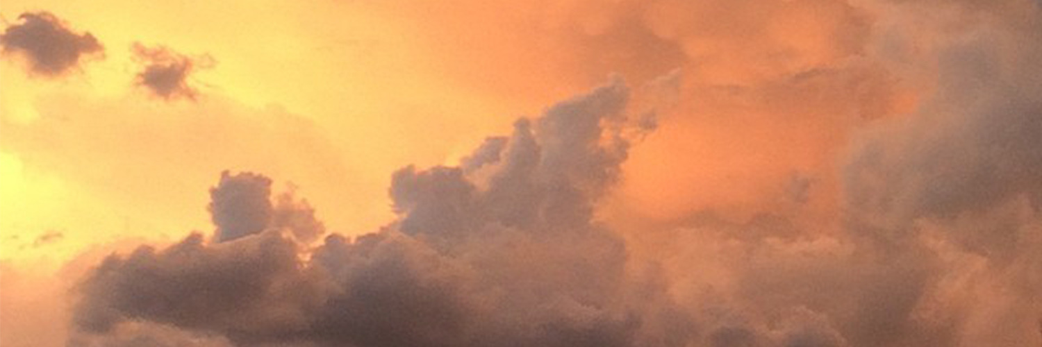 ThayTheWanted's profile banner image
