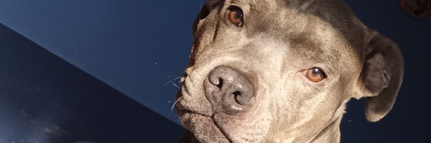 heidy1209's profile banner image