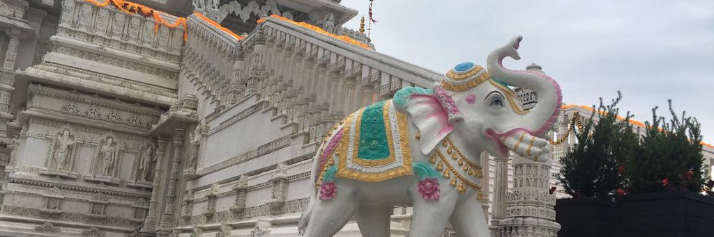 vidhipatel1997's profile banner image