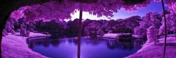 Patrikblau Profile Banner