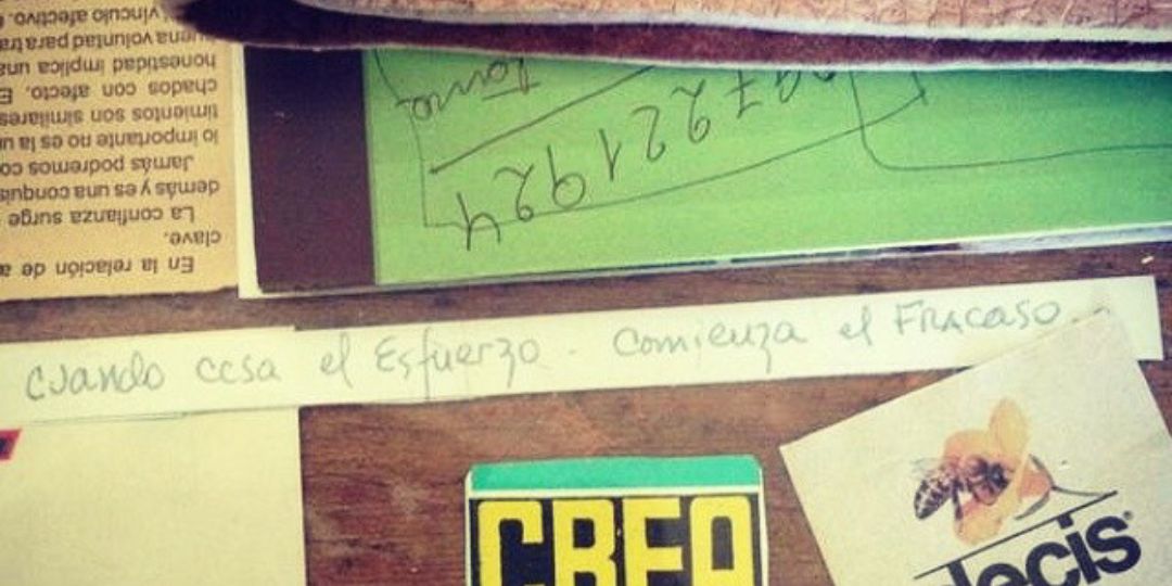 Seba banner