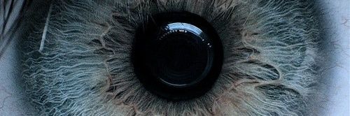 jandroelrubio's profile banner image