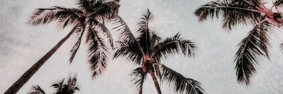P_1743's profile banner image