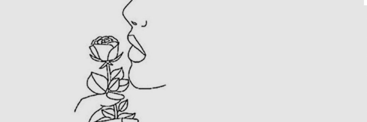 vvbarbosa4's profile banner image