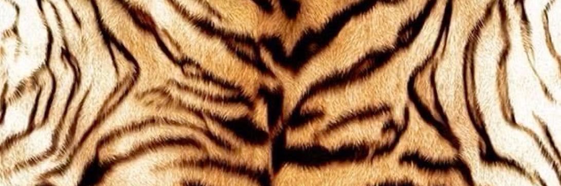 FR 🇸🇳☝🏾 banner