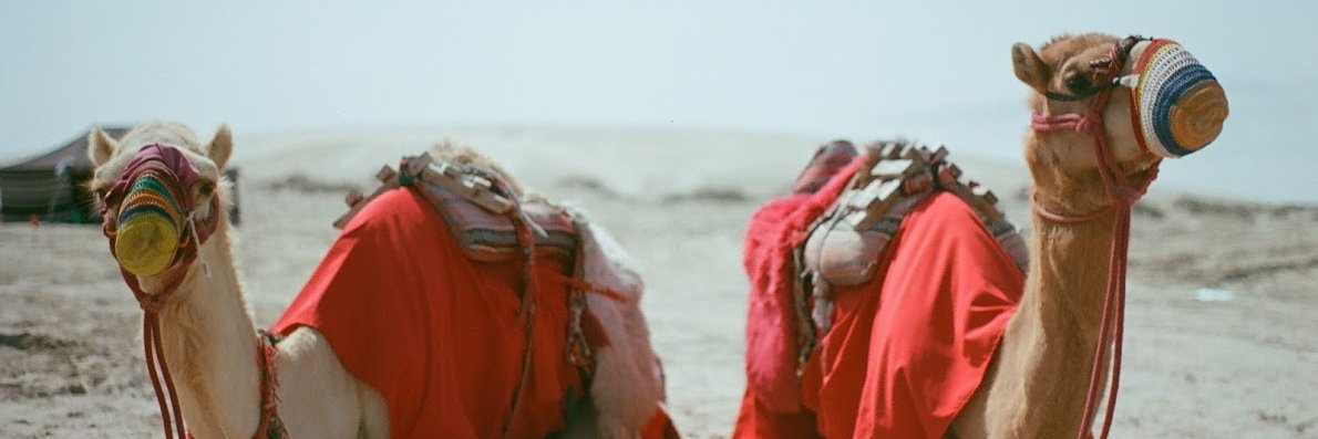 Nathan Ahamed banner